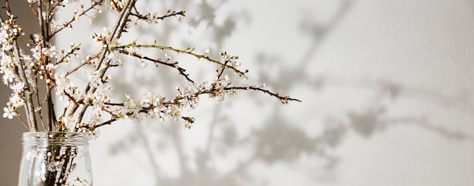 The importance of drinking fine teas for optimal health benefits