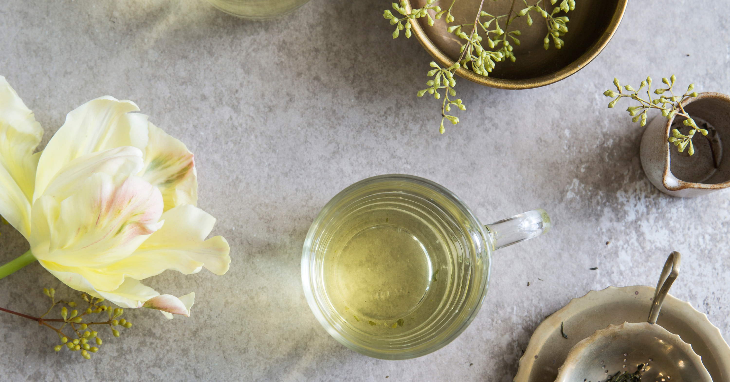 Green Sencha: A Taste of Japanese Tradition