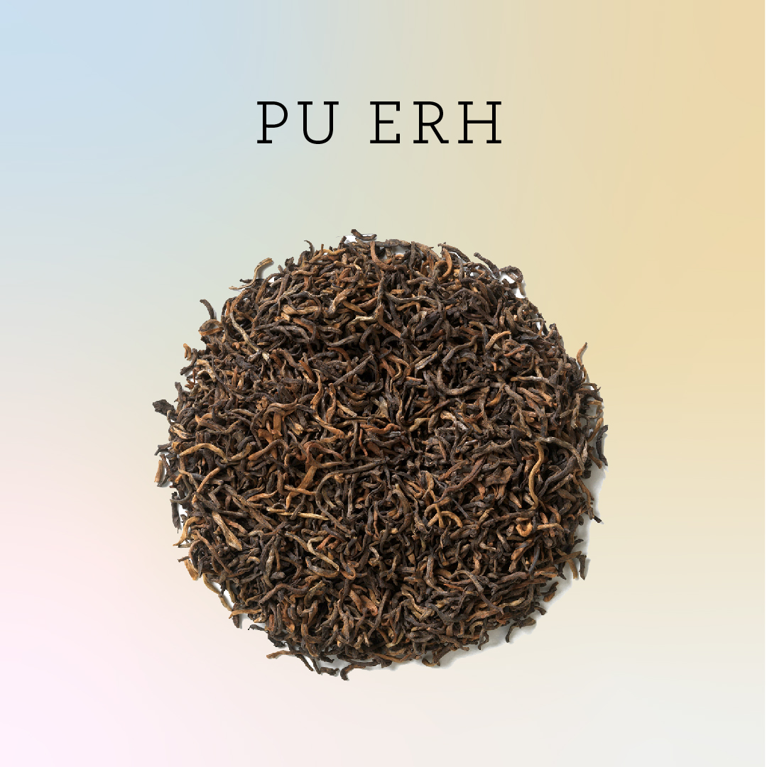 Newby Pu Erh